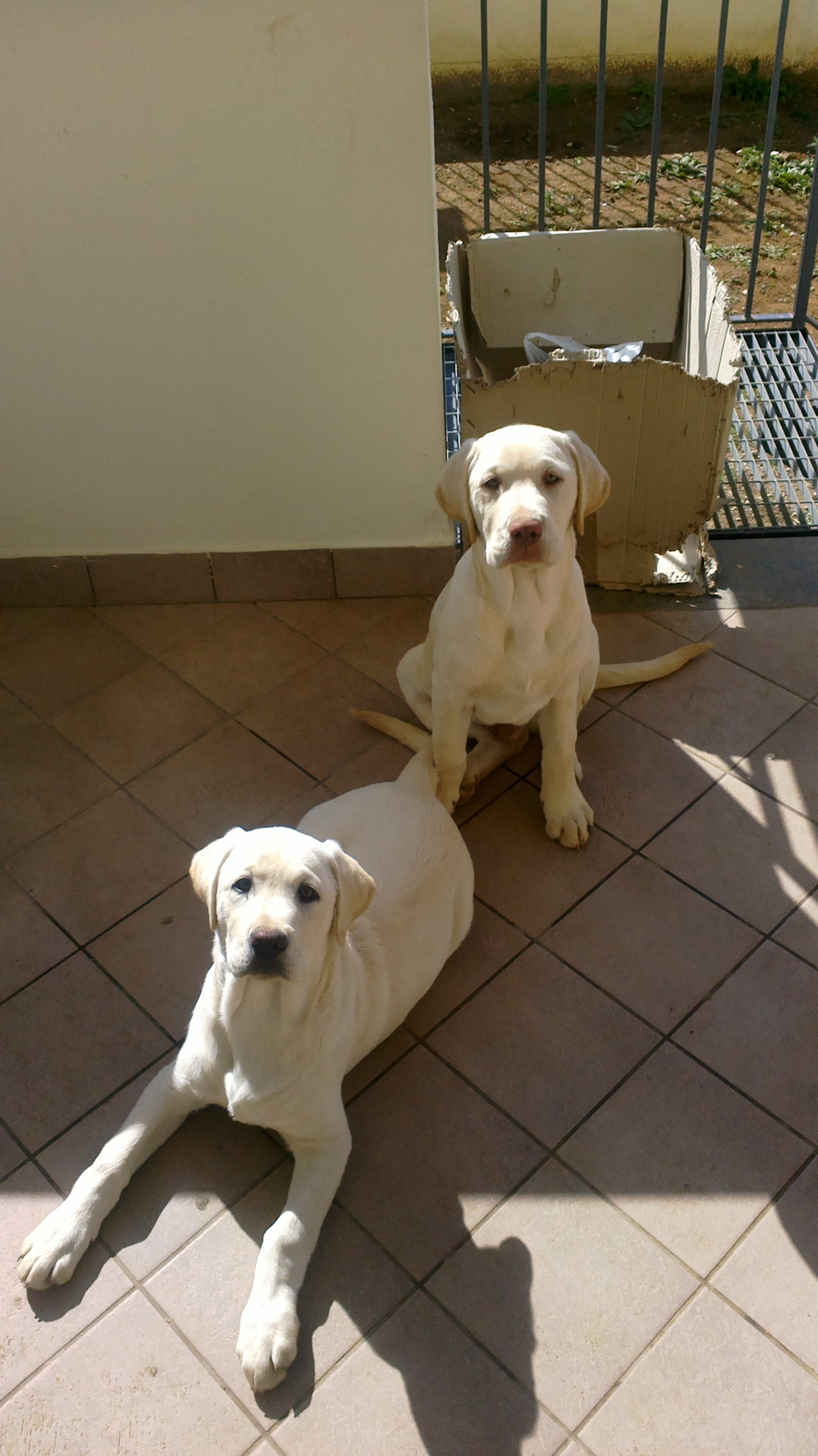 JACK E RONI - 31/03/2012